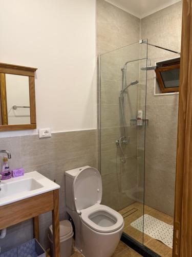 Un baño de Porta E Gjelbër