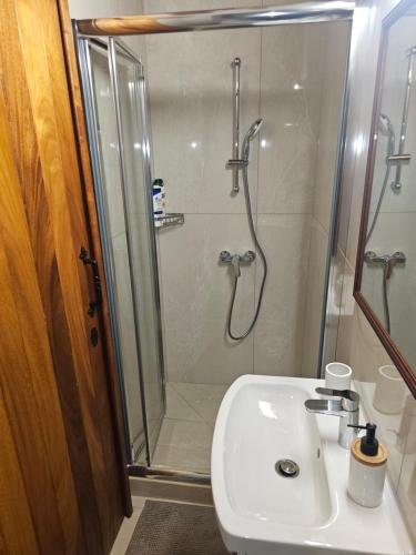 a bathroom with a shower and a sink and a shower at Katerinas Sweet Place studio 1 in Tsadha