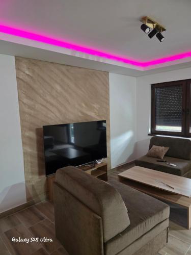 a living room with a flat screen tv and a couch at Vila Mara in Gornja Toplica