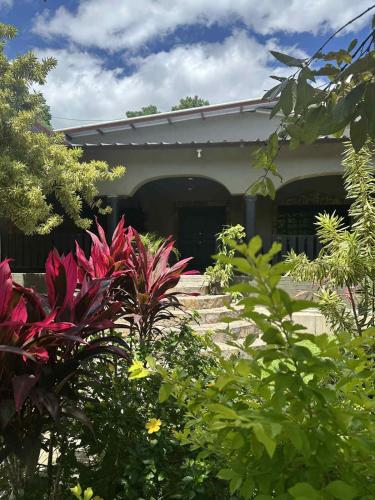 a house with some plants in front of it at Yojoa House Mountain Retreat in Santa Cruz de Yojoa