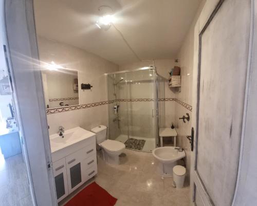 a bathroom with a shower and a toilet and a sink at La mariposa in Parque Holandes