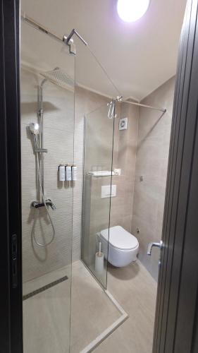 a bathroom with a shower and a toilet in it at Guest House Marli in Ohrid