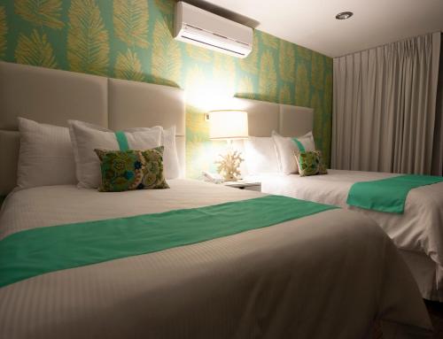 two beds in a hotel room with green walls at Colombe Hotel Boutique in Xalapa