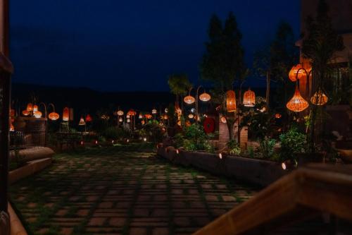 a group of lights in a garden at night at Palm Dades in Boumalne