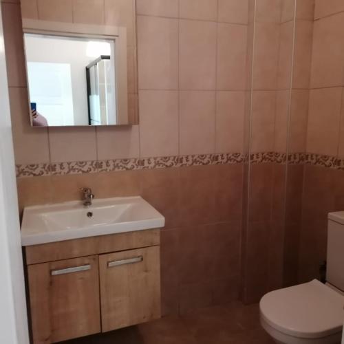 a bathroom with a sink and a toilet at Sultan villaları in Yalova