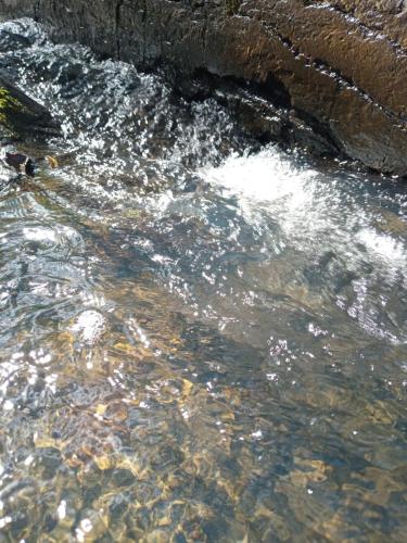 a stream of water next to some rocks at Pousada irmãos Oliveira in Lindóia