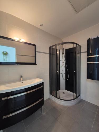 a bathroom with a shower and a sink at La longère du Moulin in Basse-Goulaine