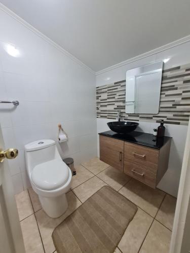 a bathroom with a toilet and a sink at Nido Del Bosque in Pucón