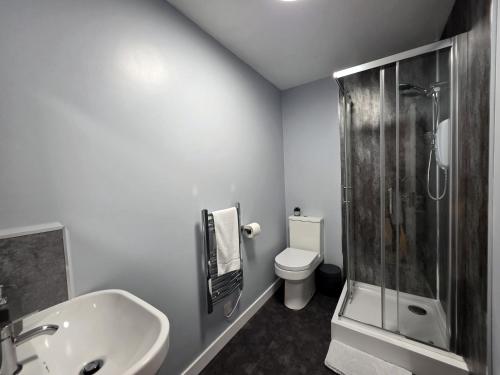 a bathroom with a toilet and a sink and a shower at The Railway Inn in Kyle of Lochalsh