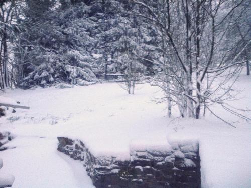 Forestside Comfort & Charm durante el invierno