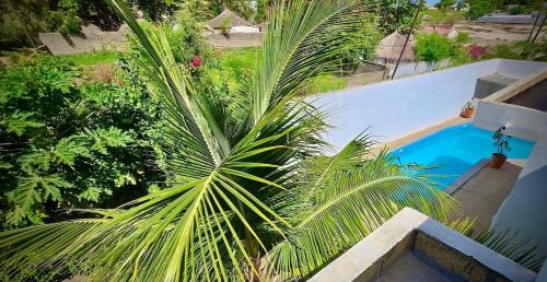 a palm tree next to a blue swimming pool at Villa with pool, close to sea in Warang