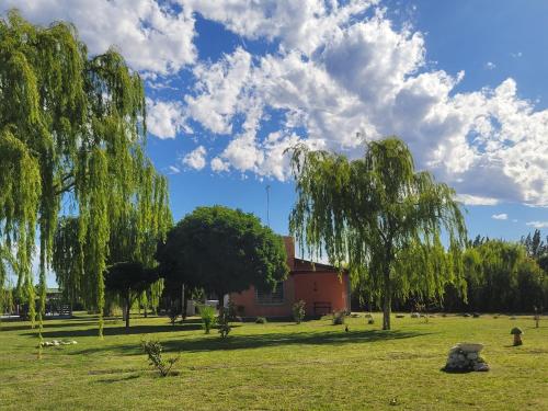 Κήπος έξω από το Cabañas DOÑA LIDIA