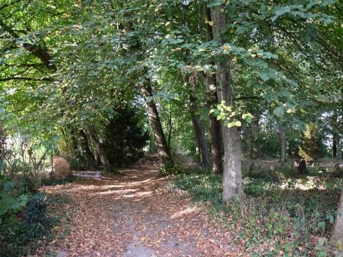 a path in a wooded area with trees at House in Burgundy with Private Pool in Saint-Aubin-sur-Loire