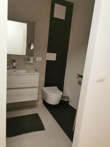 a bathroom with a white toilet and a sink at Casa della Lavanda in Sarnonico
