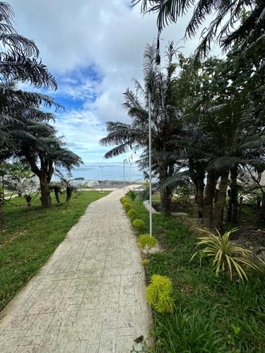 Příroda nedaleko vily