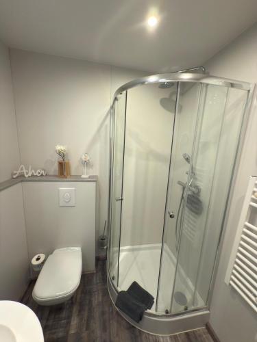 エムデンにあるMöwenhausのシャワーとトイレ付きのバスルーム