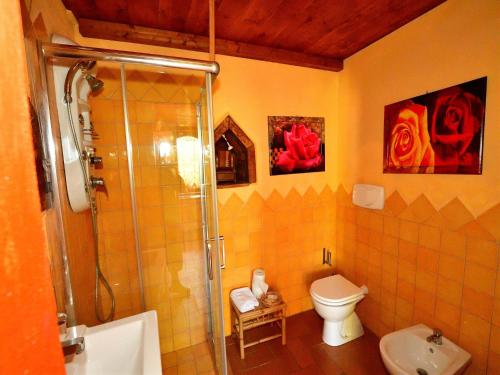 a bathroom with a shower and a toilet and a sink at Apartment with pool, Rignano in San Cristoforo a Perticaia