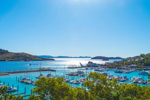 a bunch of boats docked in a harbor at Alang Alang on Hamilton Island by HIHA in Hamilton Island