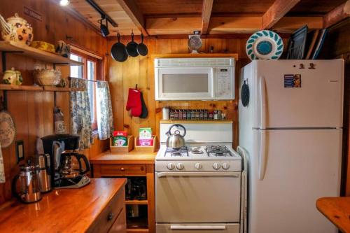 Il comprend une cuisine équipée d'une cuisinière et d'un réfrigérateur blanc. dans l'établissement Idyllcottage Historic In-town, Hottub, Ac, Dog Ok, à Idyllwild