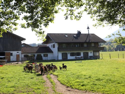 a herd of horses walking in a field in front of a house at Kleinreiterhof in Bad Reichenhall