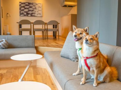 two dogs sitting on a couch in a living room at Rakuten STAY VILLA Aso Kurokawa -105 1LDK pet allowed Capacity of 6 persons in Minamioguni