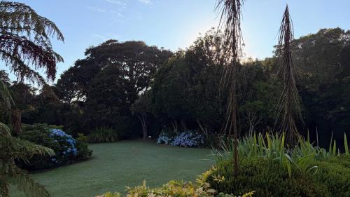 a garden with a large lawn with trees and blue flowers at Mohua Park - Catlins Eco Accommodation in Owaka