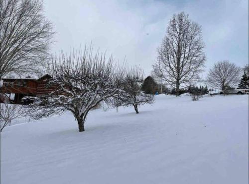 a snow covered field with trees and a house at Bloomridge Ranch Mountain Views Modern in Leicester