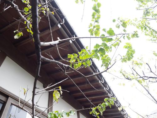 a wooden roof of a building with a tree at Ichiboukan Hanare Kai in Kyotango