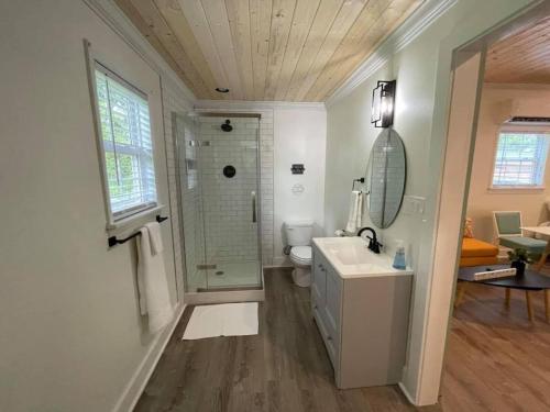 a bathroom with a shower and a sink and a toilet at Beautifully Renovated Studio 2 Miles From Marina! in Winchester