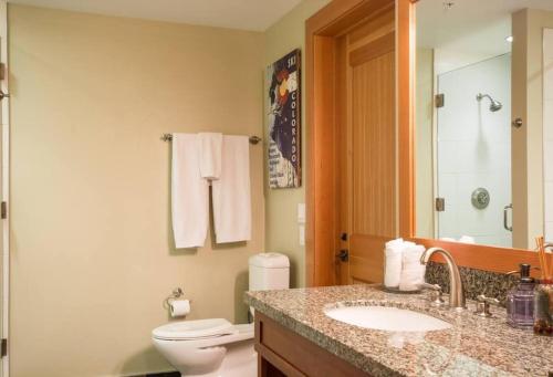 a bathroom with a toilet and a sink and a mirror at The Powder Den Cozy Alpine Basecamp in Snowmass Village