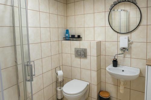a bathroom with a toilet and a sink and a mirror at Noclegi Międzylesie - Aktywny Wypoczynek in Międzylesie