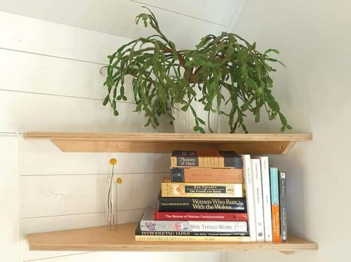 a shelf with books and a potted plant on it at Private Oasis! Cozy & Close to Everything! in Portland