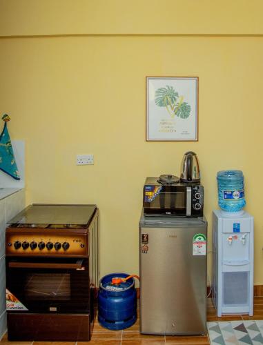 a kitchen with a stove and a microwave at Verdant Cozy Studio with WI-FI in Nanyuki