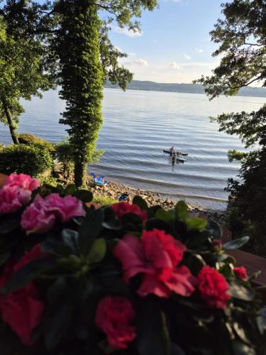 a person in a boat on a lake with flowers at Domek Lubkowo z widokiem in Lubkowo
