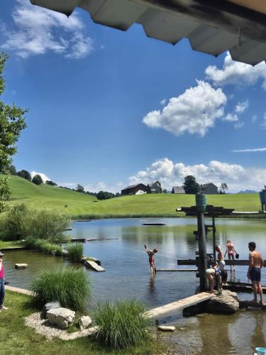 a group of people playing in a pond at Ferienwohnung Haus am Bach in Toggenburg in Wildhaus