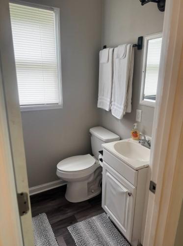 a bathroom with a toilet and a sink and a window at Newly Renovated Cozy Place Minutes From The Lake in Winchester