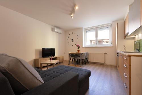 un salon avec un canapé et une table dans l'établissement Apartma Seničica, à Ljubljana