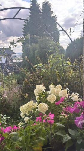 a garden with pink and white flowers and trees at Apartament u Moni in Krajno Pierwsze