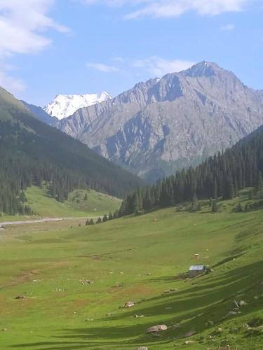 Gallery image of Elmar Yurt Camp Altyn Arashan in Mineralʼnyy Istochnik Altyn-Arasan