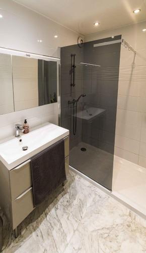 une salle de bain avec un lavabo et une douche dans l'établissement One-bedroom apartment near the Beach and the Old Town, à Antibes