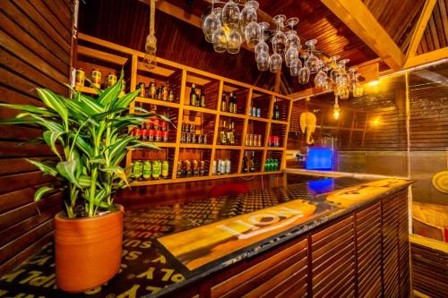 a bar with a potted plant in a room at Wood Land Airport residences in Seeduwa