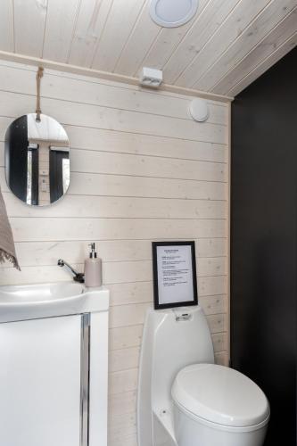 a bathroom with a toilet and a sink and a mirror at Beach house with sauna in Hanko