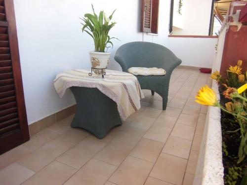 a table and a chair with a plant on it at MA.DI BB in Rocca San Giovanni