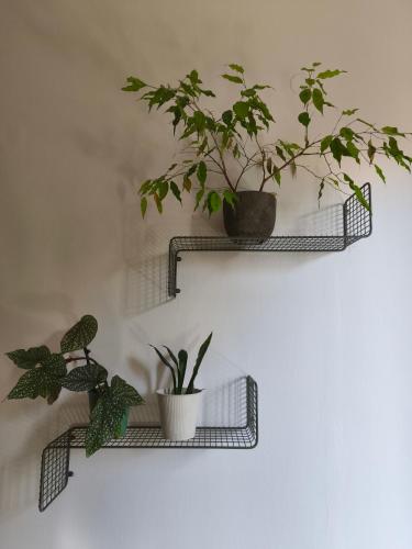 Imagen de la galería de Apartmán Spinačka, en Konice
