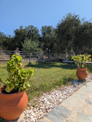 two large pots of plants in a garden at Pame Apartments Only Adults in Valanidorachi