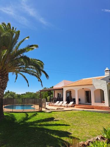 a villa with a palm tree and a swimming pool at Villa Alegria - A Private, Cozy Retreat in Nature in Lagos