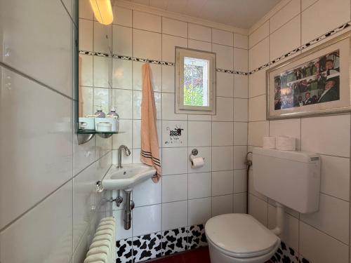 a bathroom with a toilet and a sink at Idyllisches Landhaus mit Garten nahe Stadtplatz in Weitra