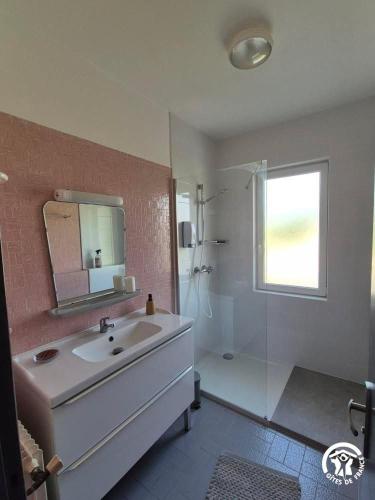 a bathroom with a sink and a shower and a mirror at Gîte Nolibo in Nogaro