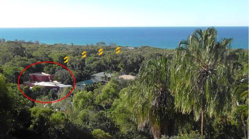 a house in the middle of a forest of trees at 1770 Beachside Backpacker in Agnes Water