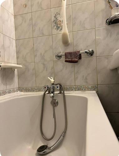 a shower in a bathroom with a bath tub at Belle chambre chez Zoa in Noisiel